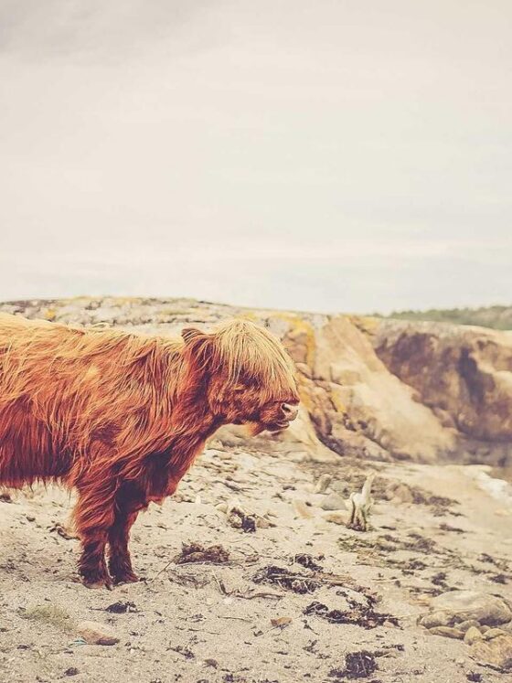 Budget Travel Tips for Women Who Want to See the World Without Going Broke