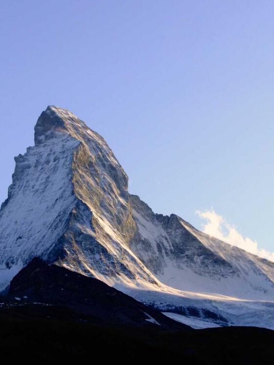 Gut Health 101: What Your Microbiome Is and Why It Matters