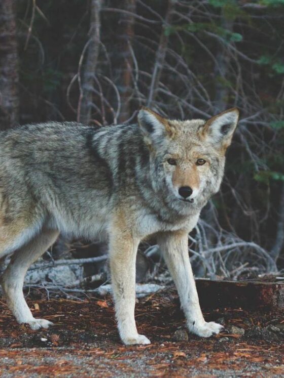 How Alcohol Affects Your Sleep Quality More Than You Think