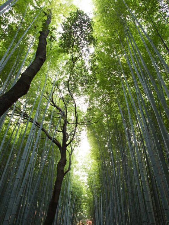 How Hormones Affect Your Skin Throughout Your Cycle