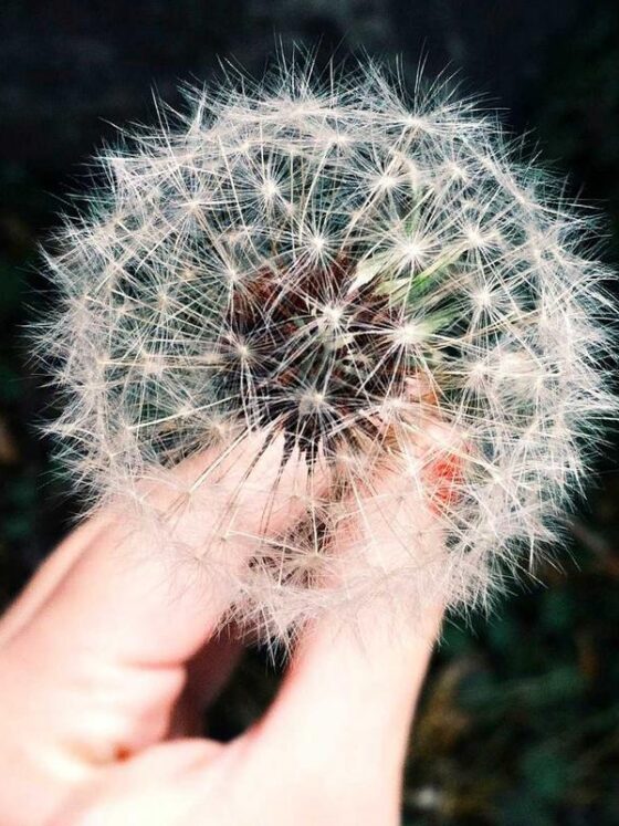 How to Create a Home Environment That Supports Your Wellbeing