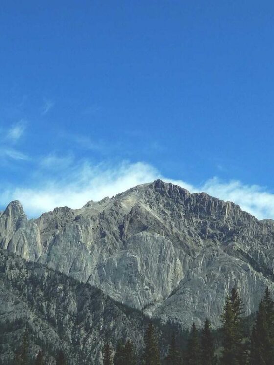 How to Do a Digital Detox Without Losing Your Mind