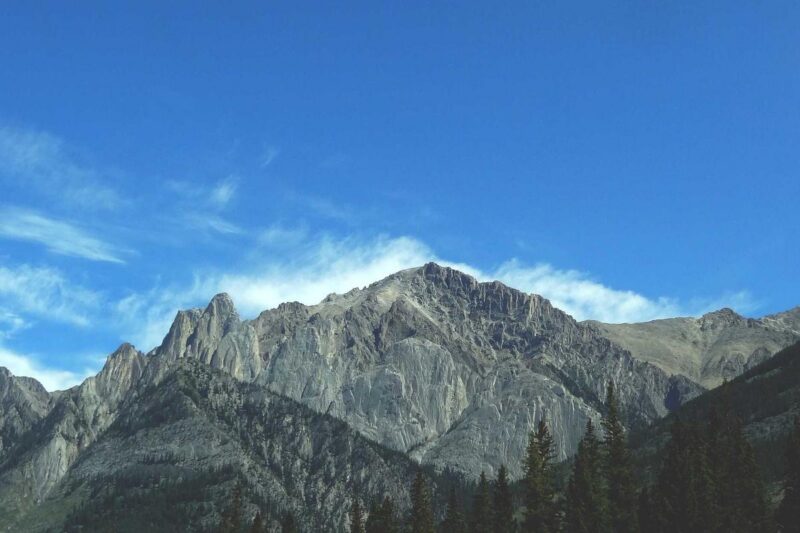 How to Do a Digital Detox Without Losing Your Mind