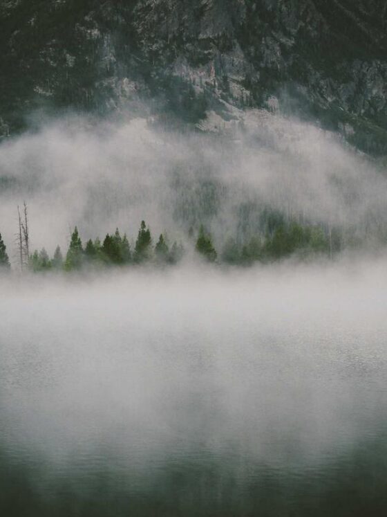 How to Sleep Better During Allergy Season