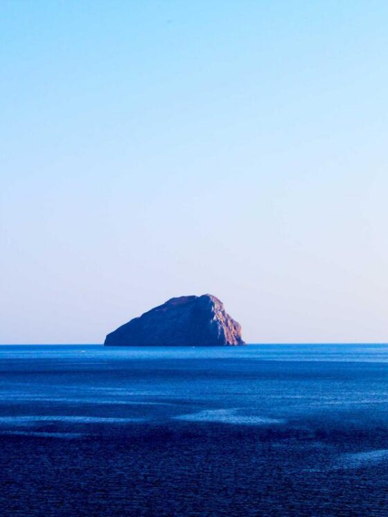 Overhyped Wellness Supplements: What's Worth Your Money