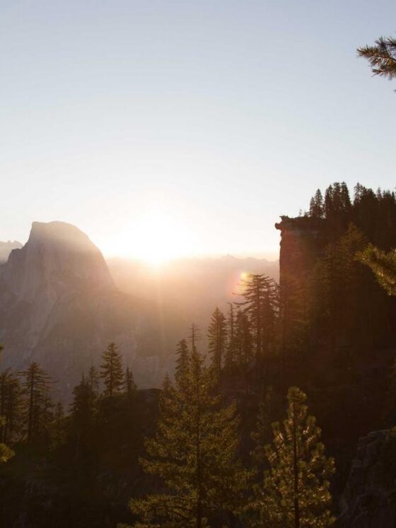 Probiotics vs. Prebiotics: What's the Difference and Do You Need Both?