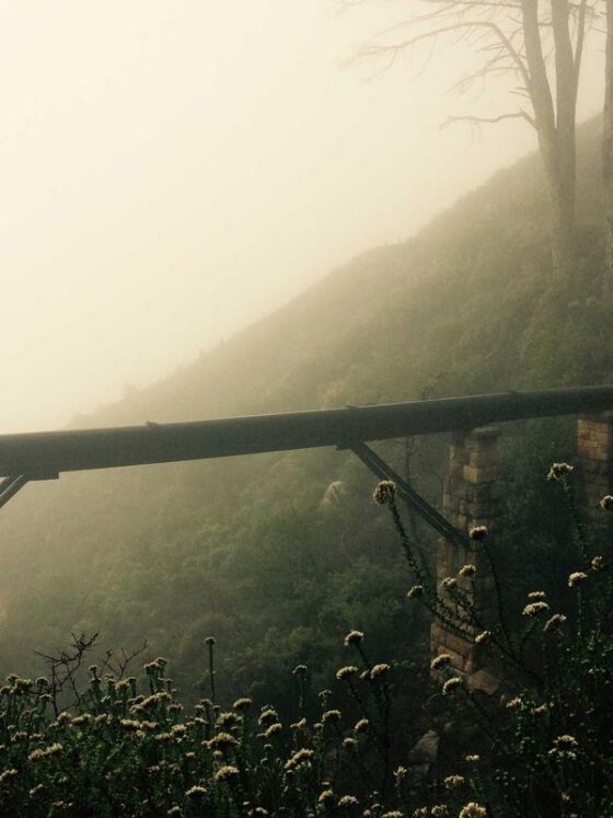 SPF Every Day: Why Sunscreen Is the Most Important Step in Your Routine