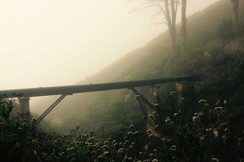 SPF Every Day: Why Sunscreen Is the Most Important Step in Your Routine