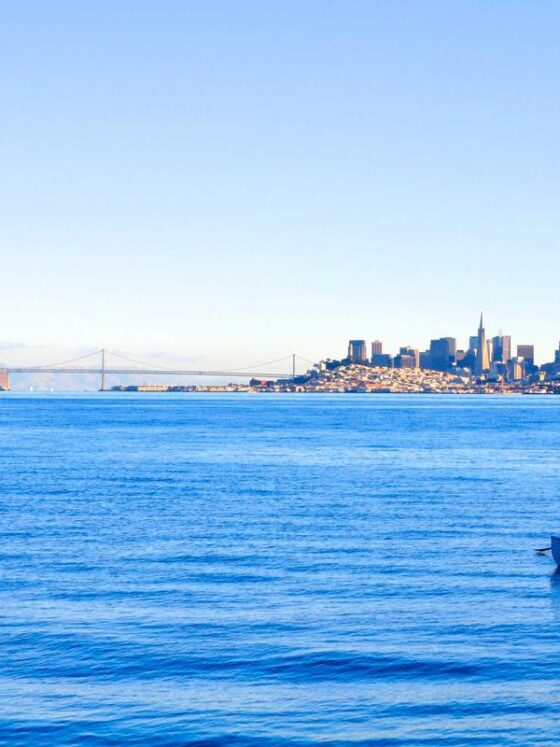 Stress and Your Body: The Physical Toll of Chronic Stress