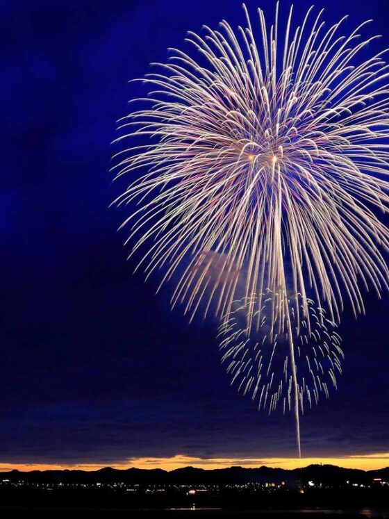 The Anti-Inflammatory Diet: A 7-Day Meal Plan for Beginners