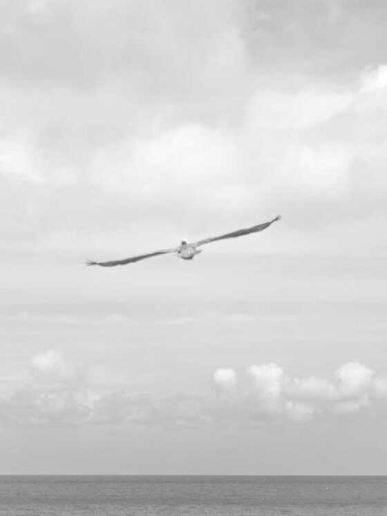 The Art of Saying No: How Boundaries Protect Your Mental Health