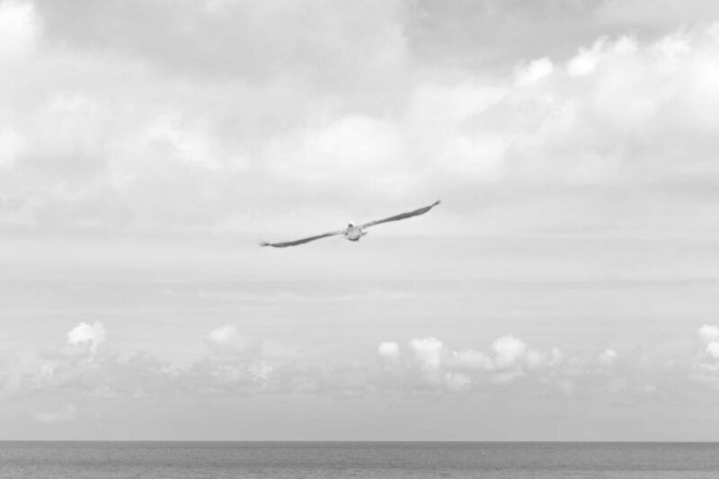 The Art of Saying No: How Boundaries Protect Your Mental Health
