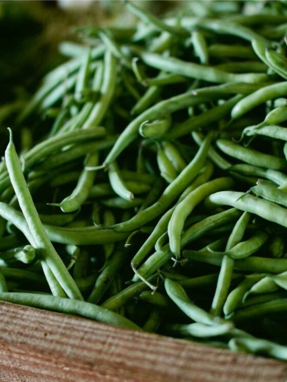 The Beginner's Guide to Building a Skincare Routine That Actually Works