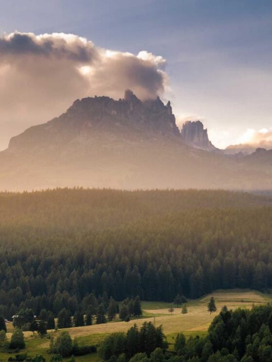 The Benefits of Facial Massage: Does It Actually Work?