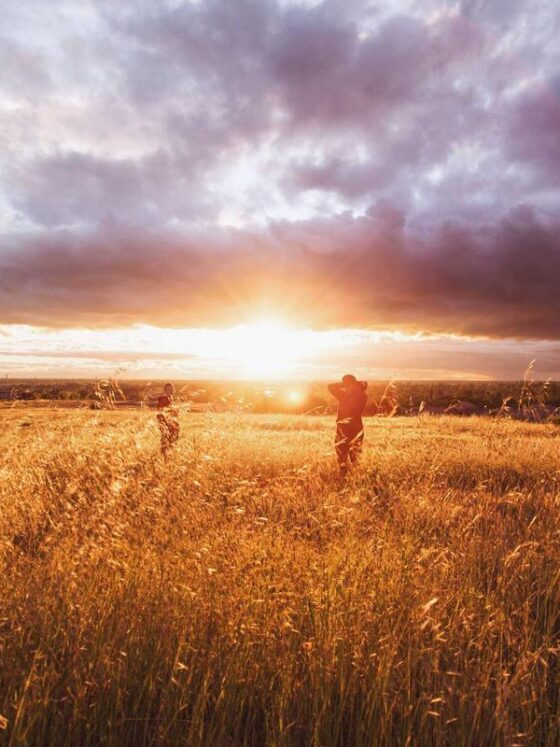 The Best Greens Powders: Ranked and Reviewed