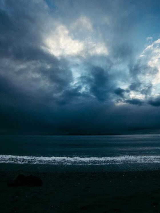 The Best Nootropics for Focus and Brain Health