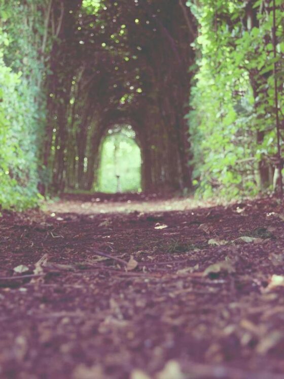 The Case for Slowing Down: Why Rest Is a Productivity Strategy