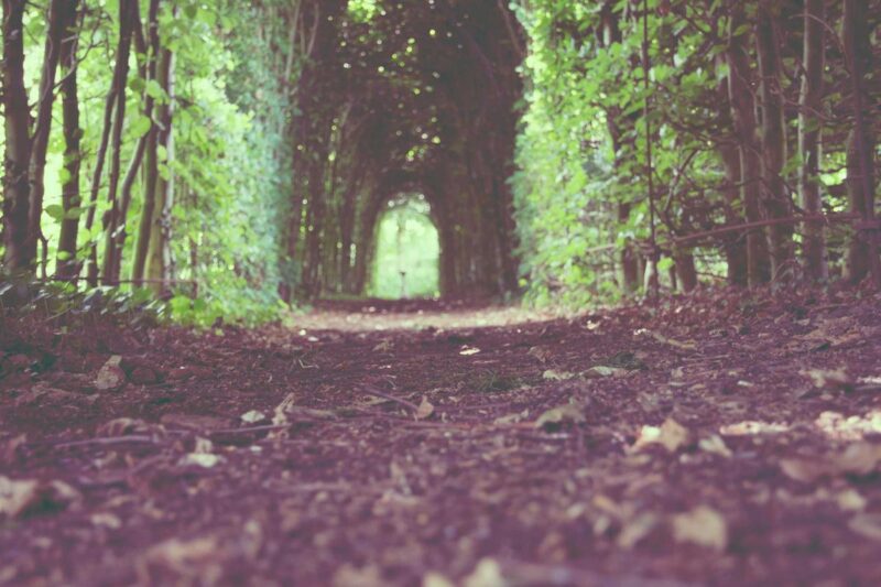 The Case for Slowing Down: Why Rest Is a Productivity Strategy