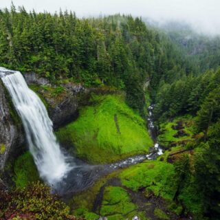 The Lion Bear Wolf Chronotype Quiz: What Your Sleep Type Means for Your Health