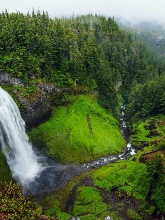 The Lion Bear Wolf Chronotype Quiz: What Your Sleep Type Means for Your Health