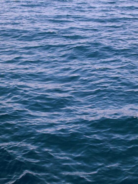 The Science of Breathwork: Why Controlled Breathing Changes Everything