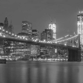 The Science of Habit Formation: How Long It Really Takes to Build One