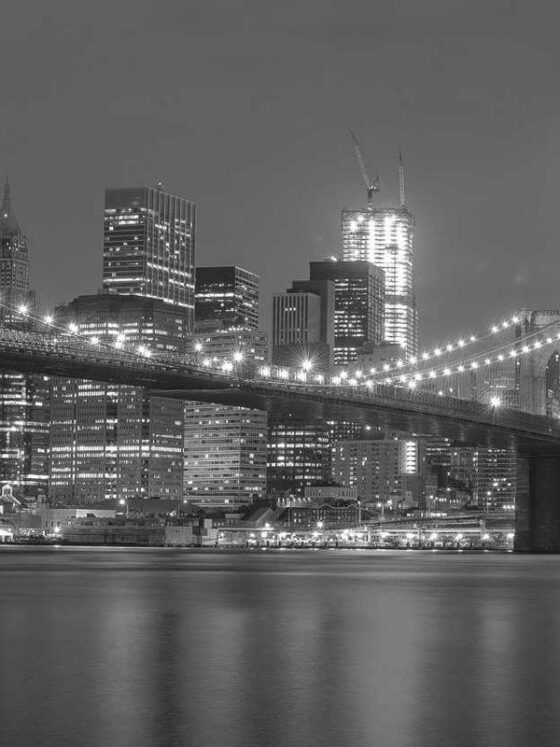 The Science of Habit Formation: How Long It Really Takes to Build One