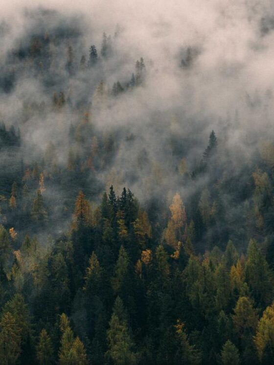 Understanding Skin Barrier Function: Why It Matters and How to Protect It