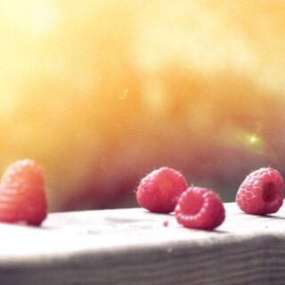 What Is Zone 2 Cardio and Why Every Woman Should Be Doing It