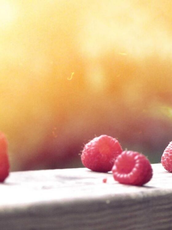 What Is Zone 2 Cardio and Why Every Woman Should Be Doing It