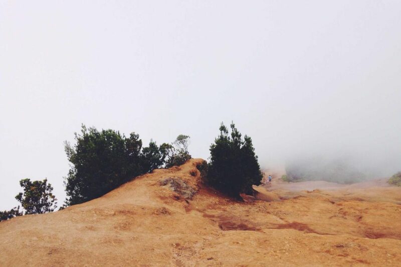 What Your Sleep Position Says About Your Health