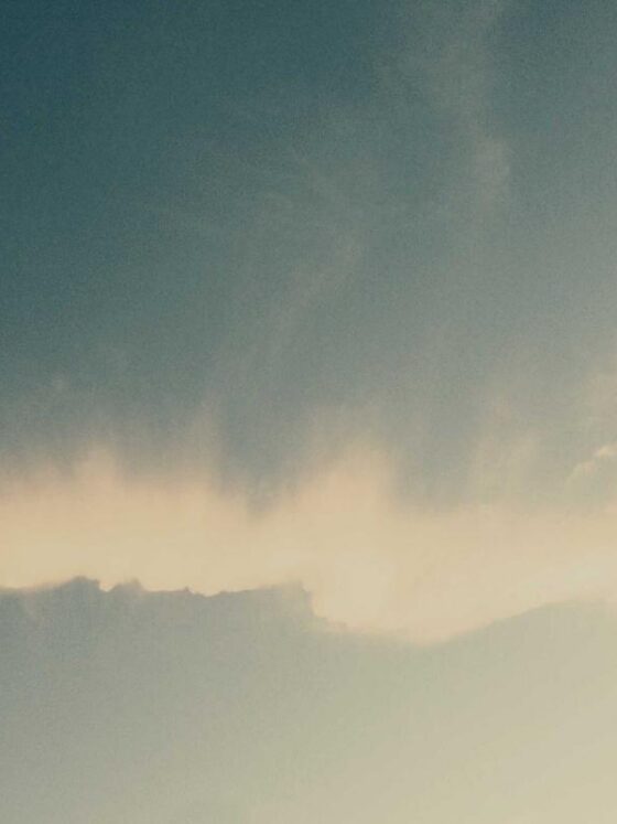 Why Women Need to Strength Train (And How to Start)